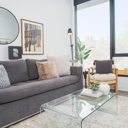 The Rosie Pilsen Apartments For Rent Pet Friendly Apartments