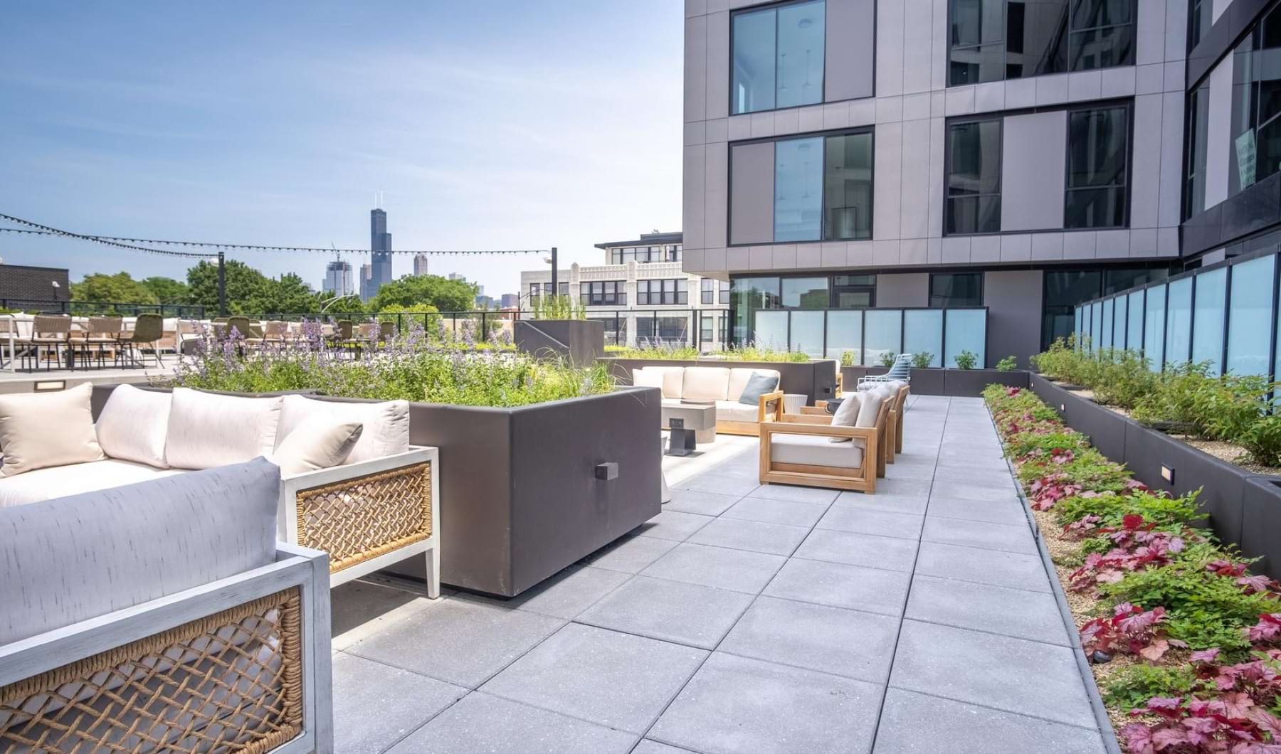 The Rosie Pilsen Apartments For Rent Pet Friendly Apartments