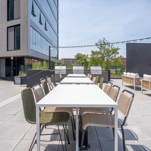 The Rosie Pilsen Apartments For Rent Pet Friendly Apartments