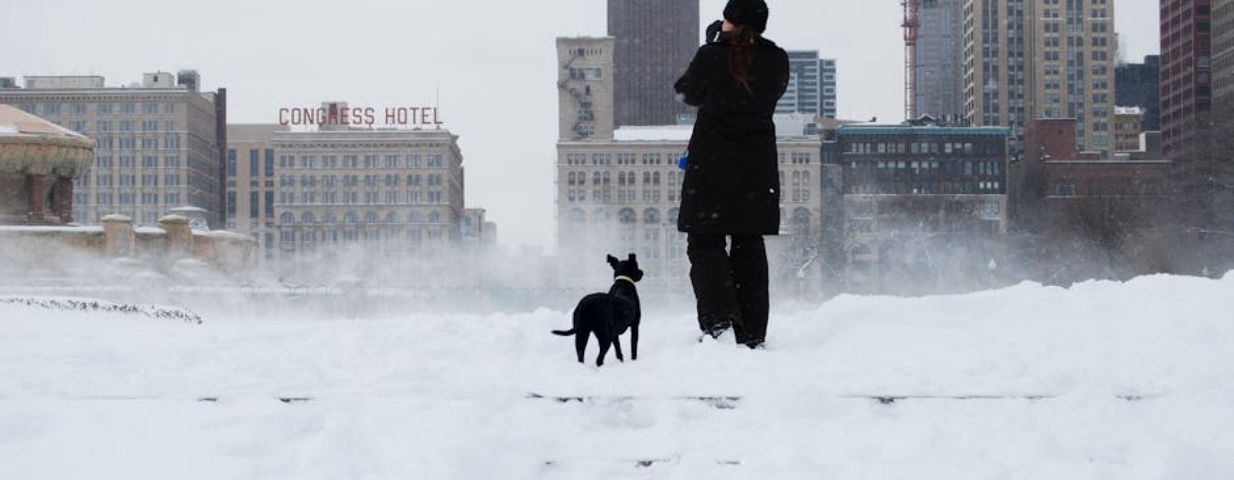 chicago apartments with dog runs - chicago apartments with dog runs