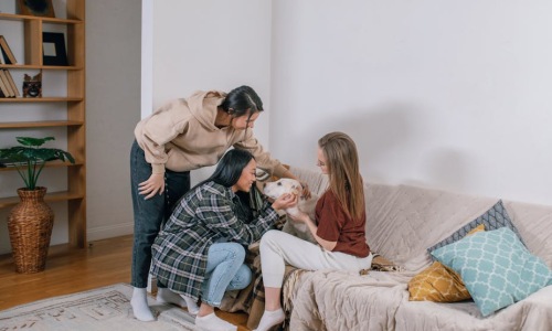 dog friendly apartments chicago - dog friendly apartments chicago