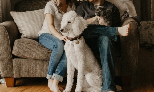 pet friendly homes for rent