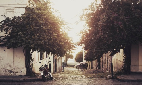 vibrant street in Pilsen - best restaurants in pilsen