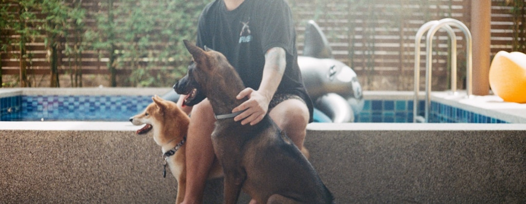 amenities to look for in pet-friendly apartment