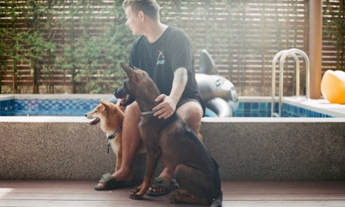 amenities to look for in pet-friendly apartment