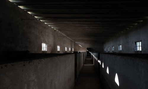 east pilsen lofts - east pilsen lofts