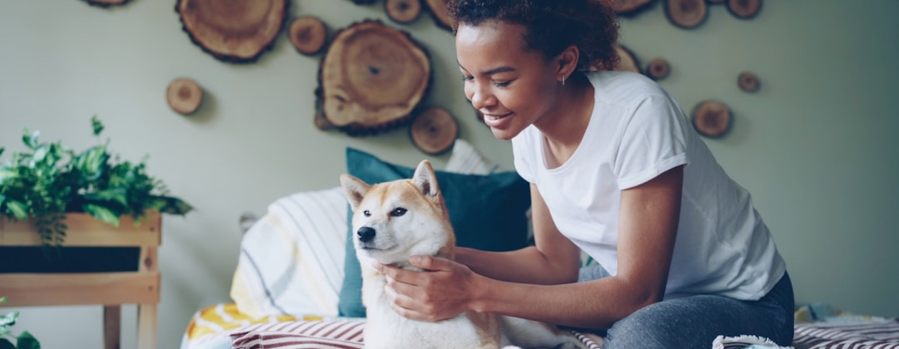 pets in apartments