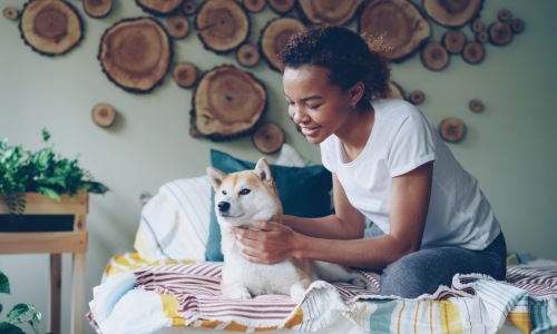 pets in apartments