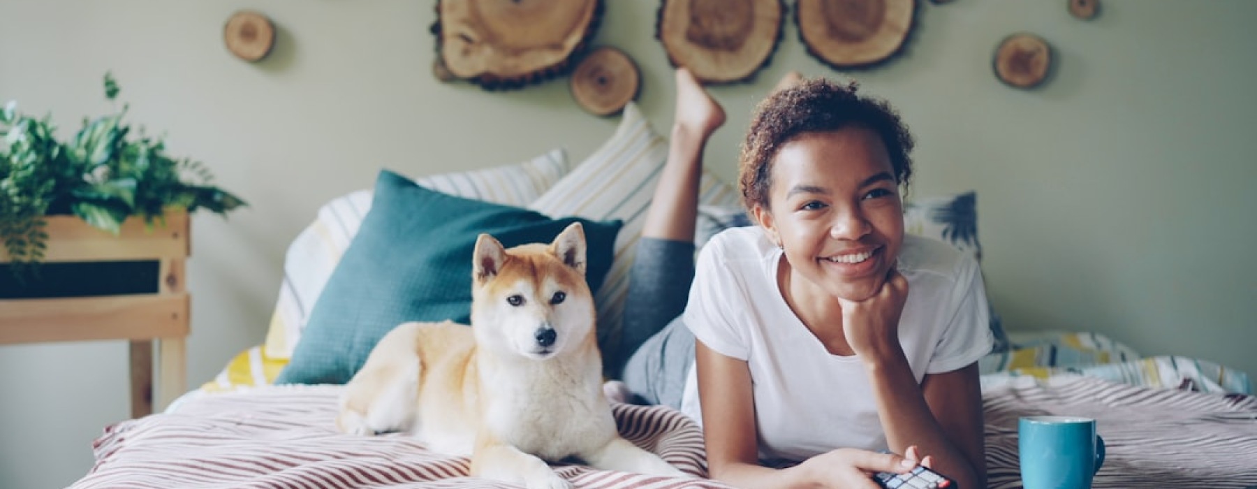 dog in modern apartment - dog friendly places for rent near me