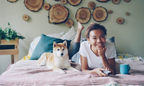 dog in modern apartment - dog friendly places for rent near me