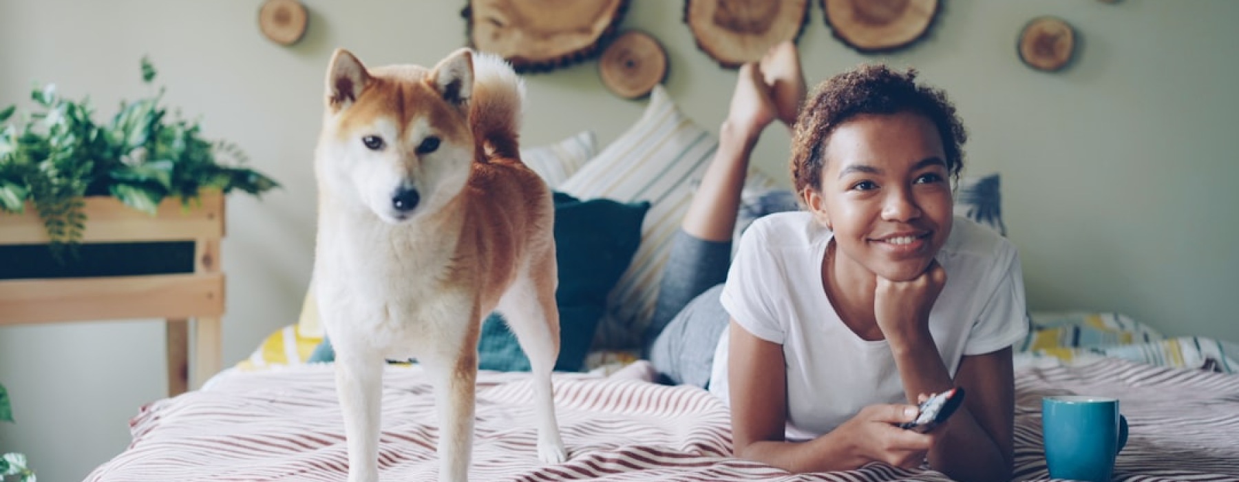 person with dog in modern apartment - rooms for rent pet friendly near me