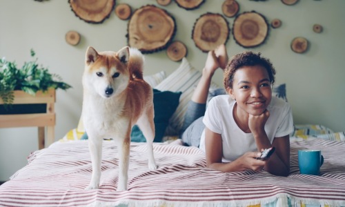 person with dog in modern apartment - rooms for rent pet friendly near me
